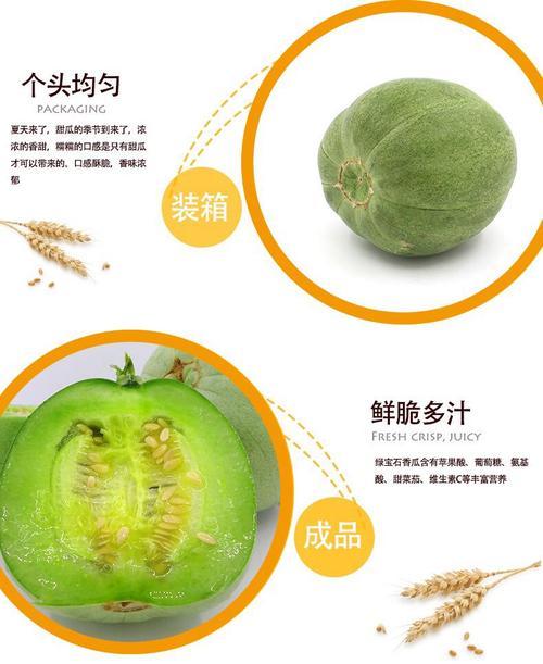 初夏的味道 頭茬綠寶石甜瓜，您舌尖上的新鮮盛宴